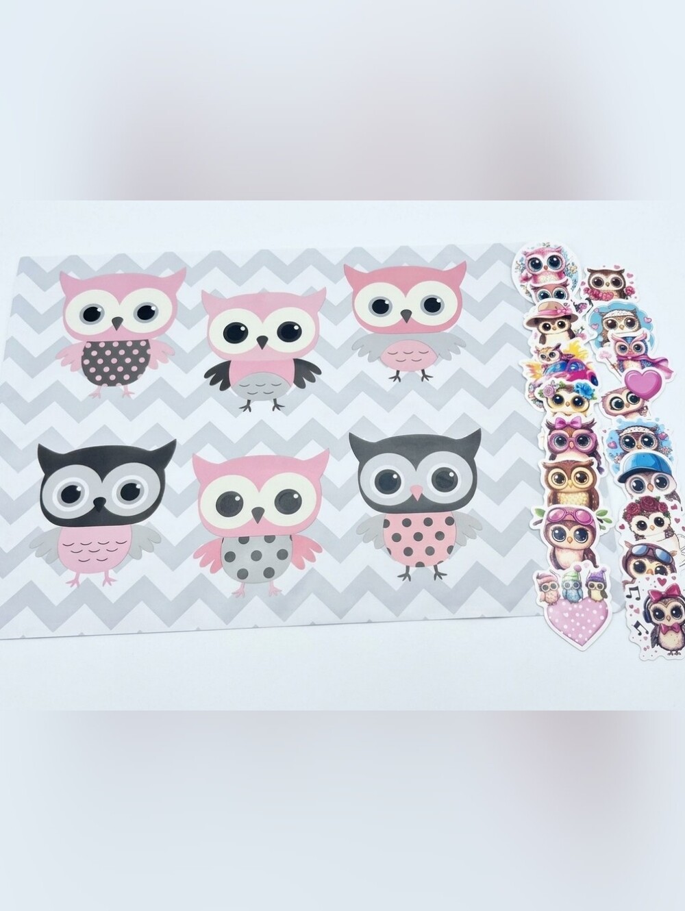 Poly Mailer Set Cute Owls (25) 10x13 Poly + (25) Vinyl Owl Stickers Chevron